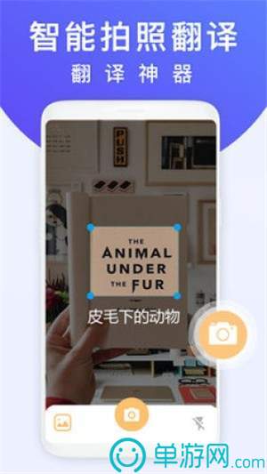 鱼泡网